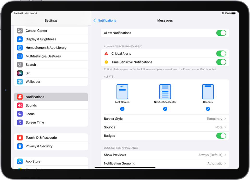 Екран iPad з параметрами Повідомлень для сповіщень і оповісток.