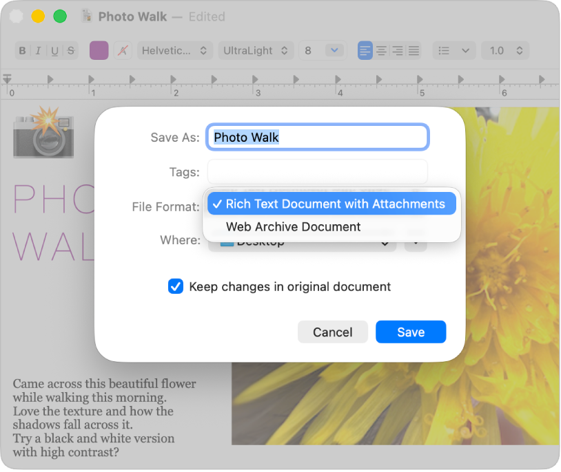 The Save As dialogue in TextEdit with the File Format pop-up menu open.
