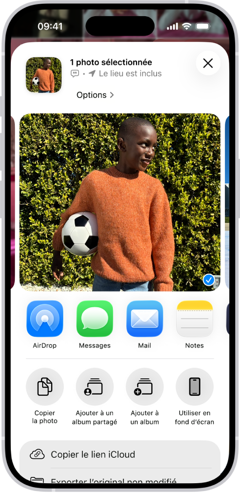 Une photo sélectionnée est affichée dans la moitié supérieure de l’écran de l’iPhone. Une rangée d’options de partage se trouve en dessous. Des options supplémentaires figurent en bas, notamment « Copier la photo », « Ajouter à un album partagé », « Ajouter à un album » et « Utiliser en fond d’écran ».