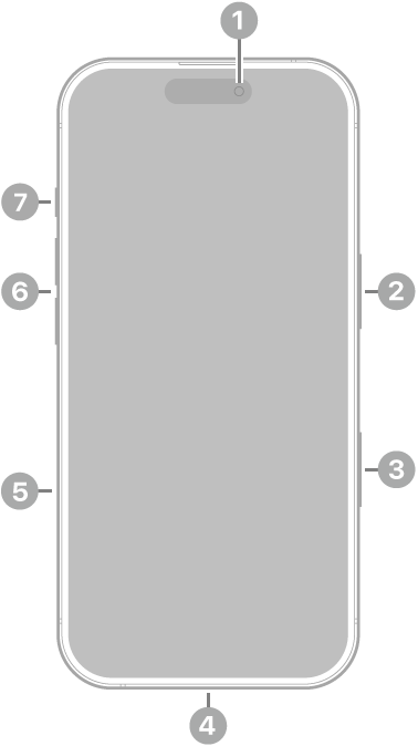 iPhone 17の前面。上部中央に前面カメラがあります。右側にサイドボタンがあります。下部にUSB-Cコネクタがあります。左側には下から順に、SIMトレイ、音量ボタン、アクションボタンがあります。