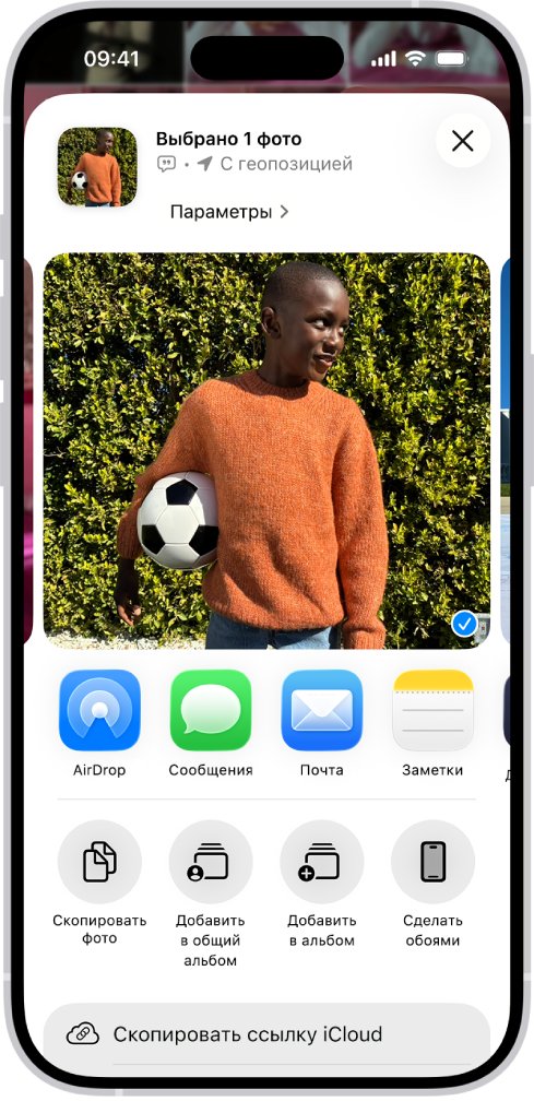 В верхней половине экрана iPhone отображается выбранное фото, а под ним — список вариантов отправки. Ниже показаны дополнительные варианты: «Скопировать фото», «Добавить в общий альбом», «Добавить в альбом» и «Сделать обоями».
