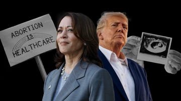 kamala harris and donald trump