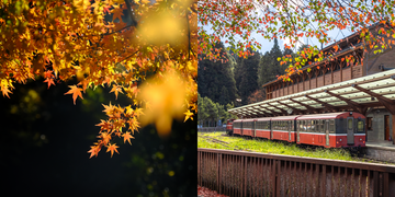 autumn leaves and a train station with vintage trains