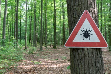 tick environment