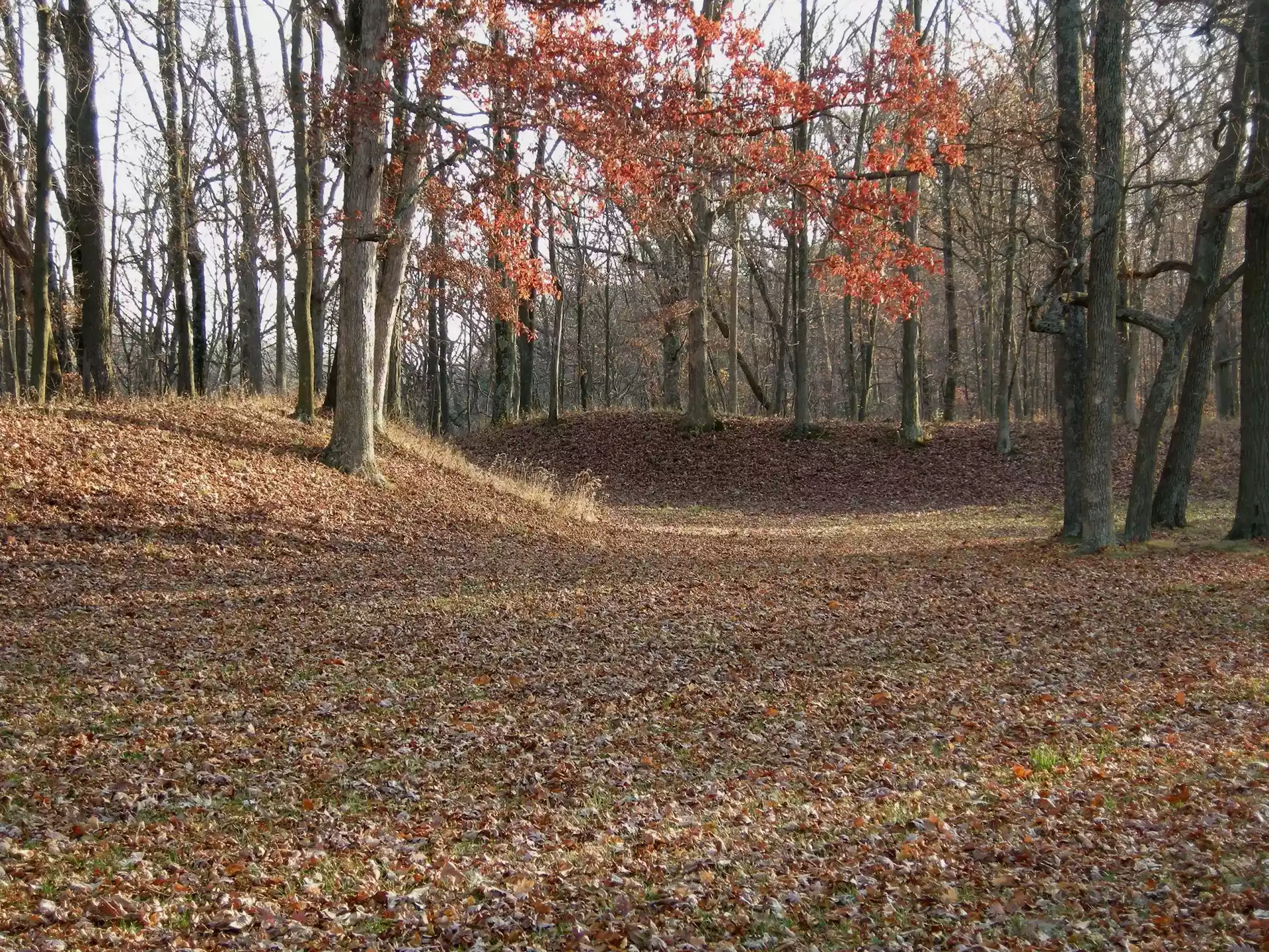 Fort Ancient gate