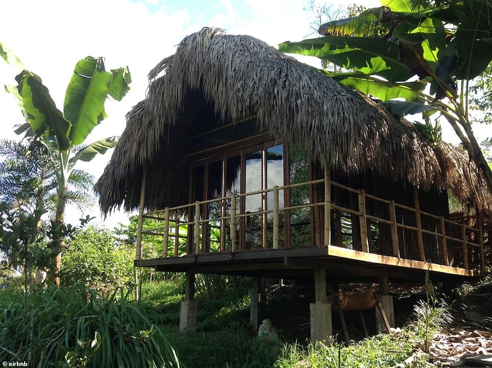 Located in the coffee region of the Andean mountains in Colombia, a charming cabana made from bamboo has caught the attention of UK holidaymakers