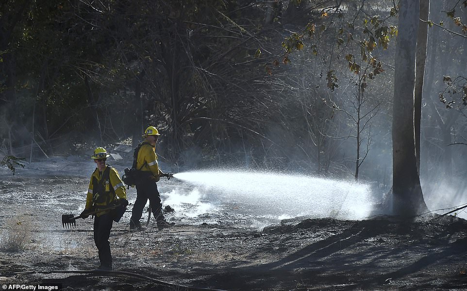 The Woolsey has spread to 83,275 acres and was 5 per cent contained as of Saturday night