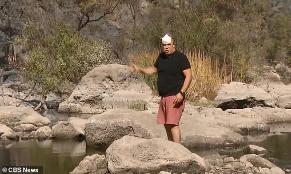 Armbruster and his dog managed to survive the inferno by hiding in a nearby creek (pictured), once he realized the fire was making its way toward his home