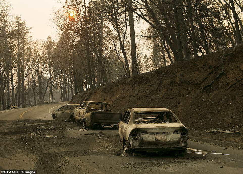 Those living in Paradise were ordered to flee their homes as the fire closed in, but found themselves trapped on roads that were not designed to carry that weight of traffic (pictured, burned-out cars near the town)