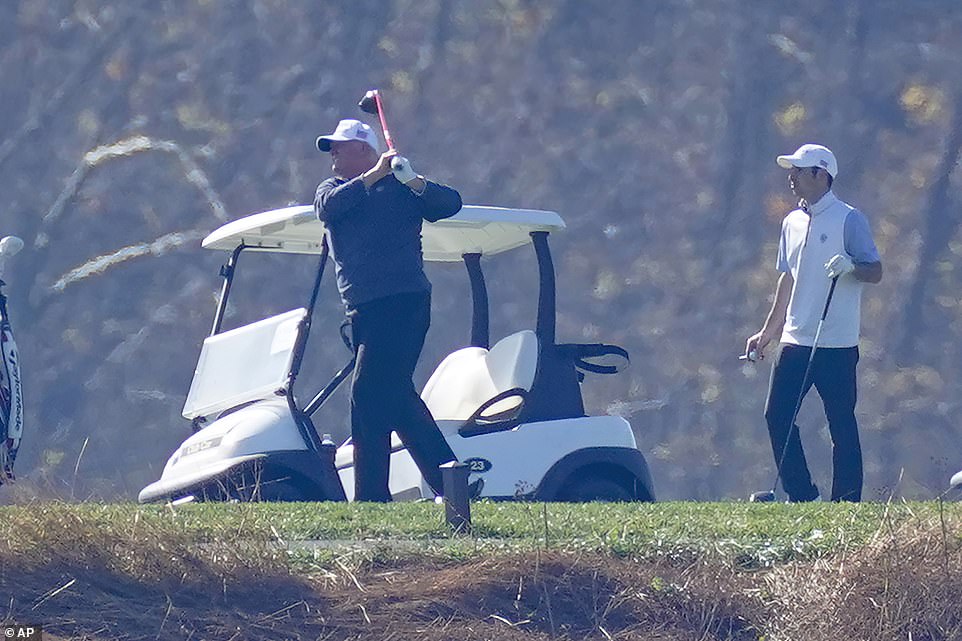 Swinging for the fences: President Donald Trump hit the golf course on Sunday morning in Sterling, Virginia, to blow off some steam after the media declared his rival Joe Biden winner of the election the day before