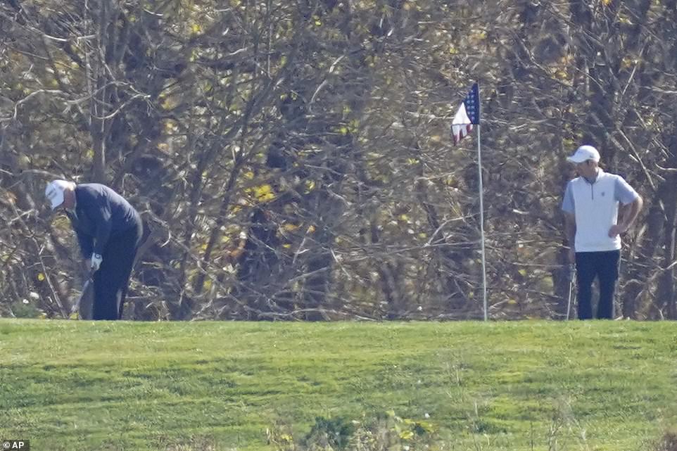 Nearly there: Trump prepares to sink a shot as a caddy stands by on Sunday morning