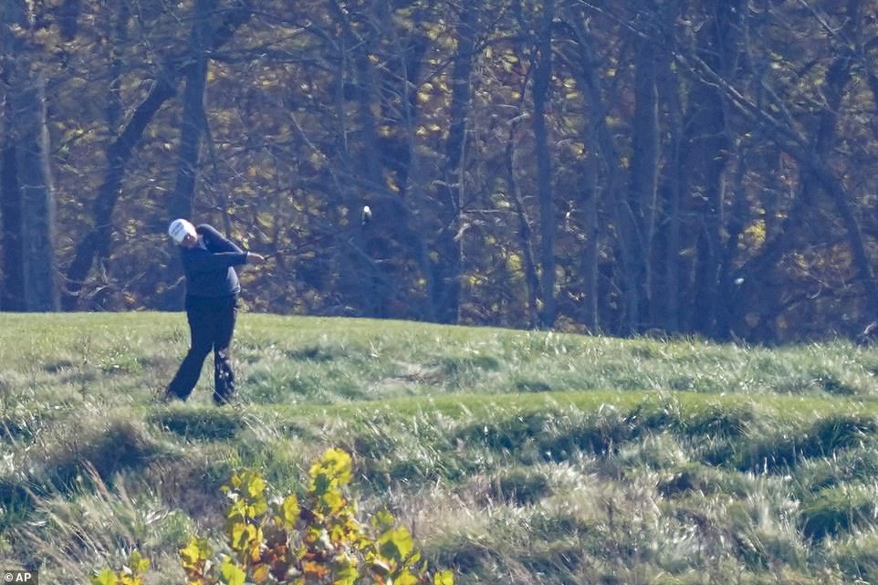 Still swinging: Trump is seen mid-swing during his golf round in Sterling on Sunday morning