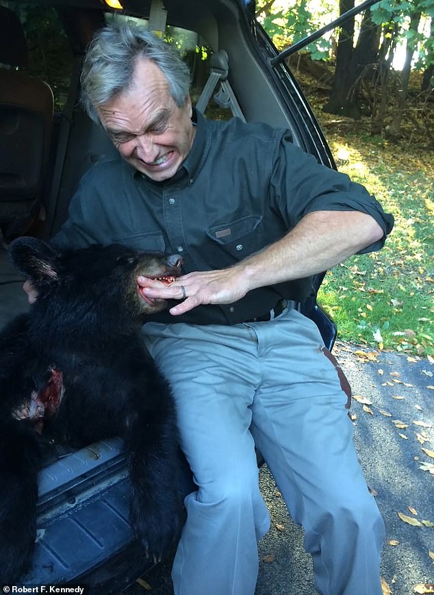 One of the weirder moments during RFK Jr.'s campaign was his admission earlier this month that he left the corpse of a dead bear cub in New York's Central Park in 2014