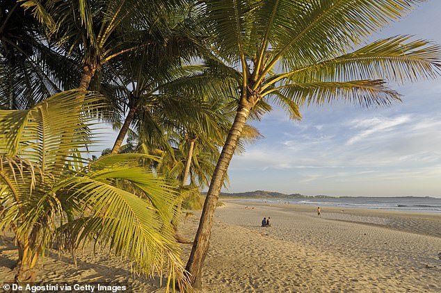 Sunset on Playa Grande beach, with palm trees in the foreground, near Tamarindo, Guanacaste, Costa Rica