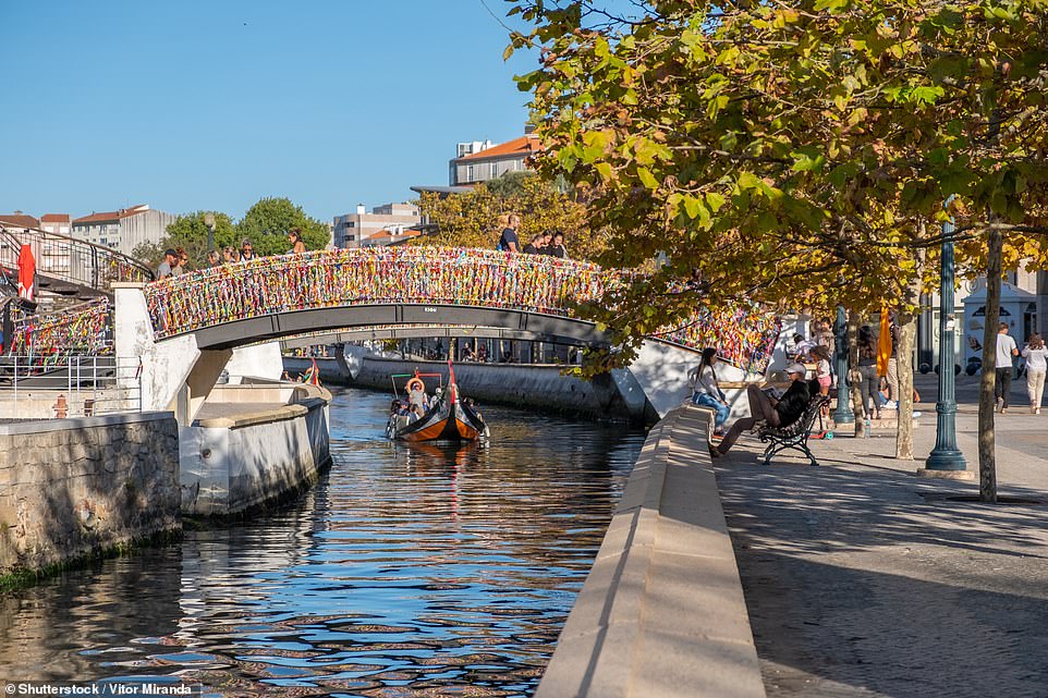 Aviero (pictured), a city in Portugal's west coast, sits on the 'edge of an extensive lagoon system', explains Lonely Planet. The travel guide adds: 'Where [Venice] has gondolas, Aveiro has moliceiros ¿ colourful boats traditionally used for seaweed-harvesting but now used for canal cruises'. A moliceiro can be seen in the image above