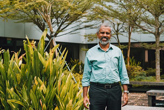 Above is Changi horticulturalist Khaja Nazimuddeen, who reveals that at any one time there are around 800 butterflies fluttering around Changi