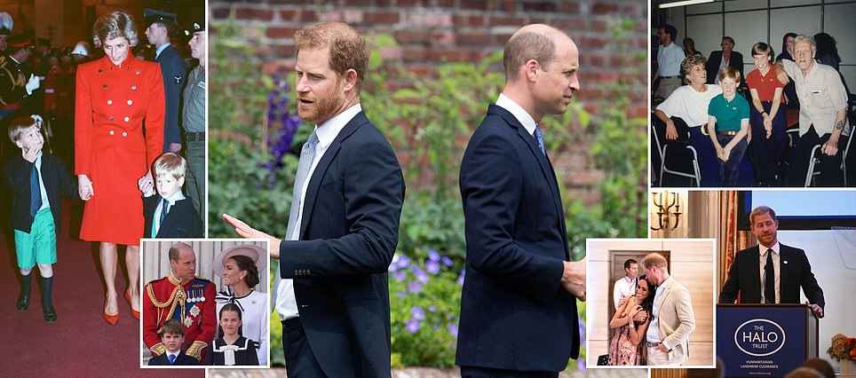 Revealed: The similarities between Princes William and Harry despite their rift... from