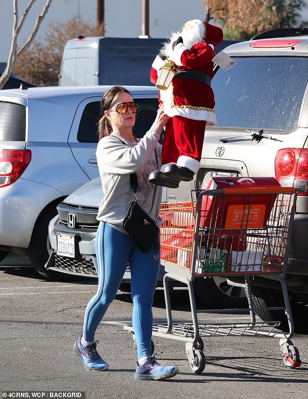 The Real Housewives of Beverly Hills star, 55, was spotted stocking up on holiday decor at a Home Depot store ahead of Thanksgiving