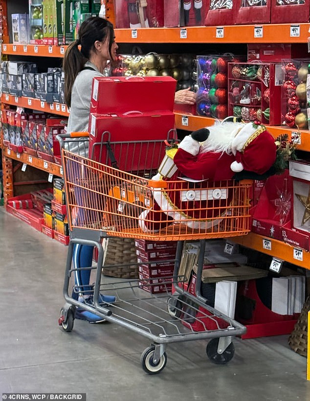 She browsed the aisles alone as she picked up several Christmas items and placed them in her cart