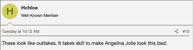 'These look like outtakes. It takes skill to make Angelina Jolie look this bad,' someone else on theFashionSpot forum added