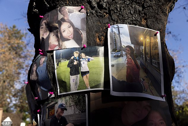 Photos of Tsukahara and her friends are pinned to a tree near the crash site