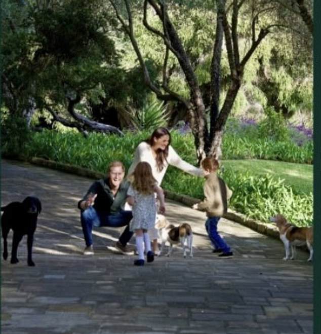 A close-up of the family photo of the Sussexes, also featuring their three canine companions