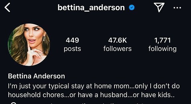 Her Instagram bio claims she's a 'stay at home mom' who doesn't do household chores and doesn't have any kids or husband