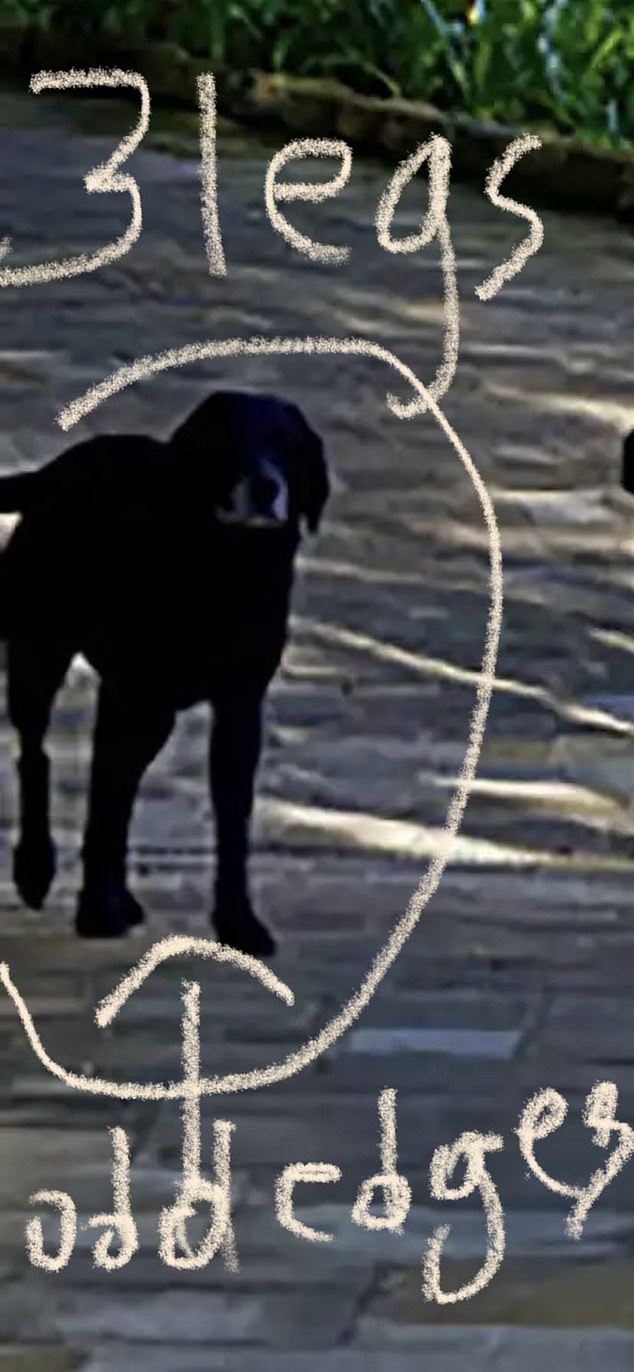 A social media user circled one of the couple's dogs and said that it looked like it had three legs