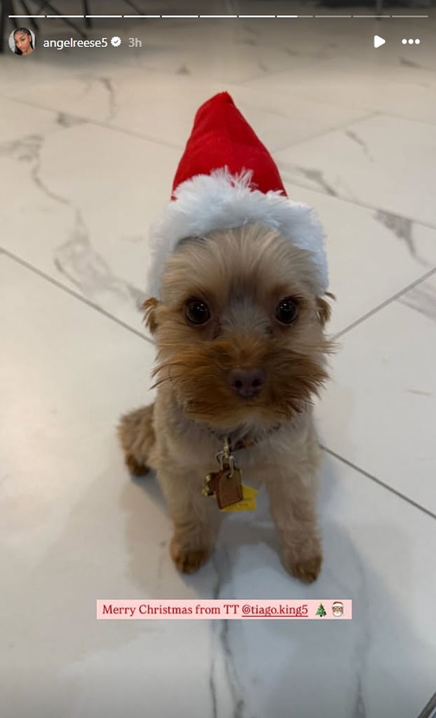 Angel Reese posted a photo of her puppy Tiago wearing a Santa hat to greet her fans