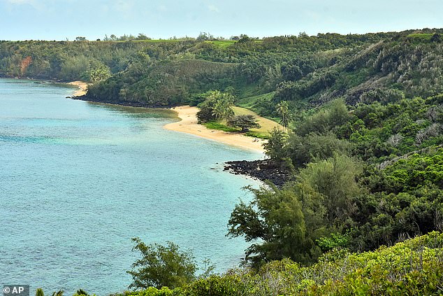 Zuckerberg owns around 1,400 acres of land on Hawaii's Kauai island (pictured)