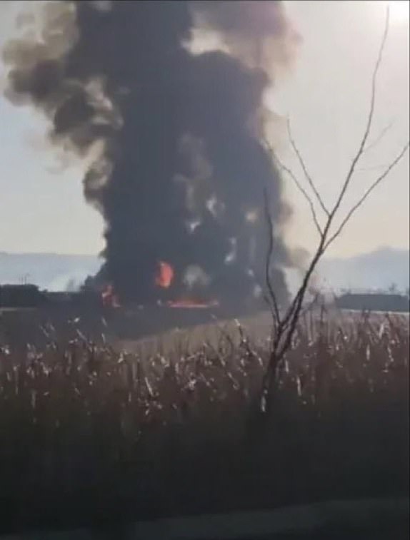 Social media posts images of plane crash at Muan International Airport