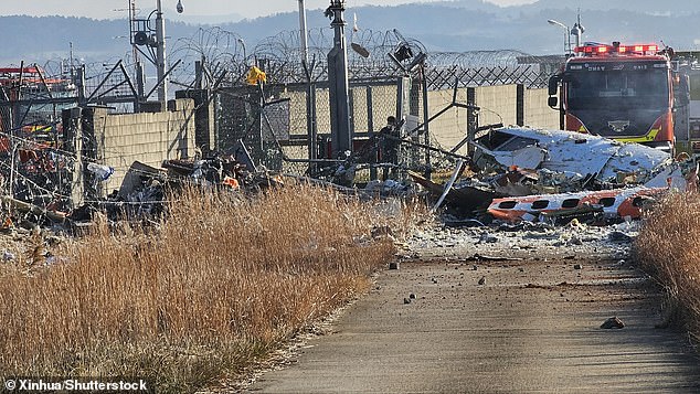 The wreckage left behind after the plane carrying 175 passengers crashed in South Korea