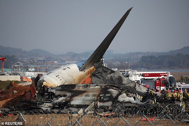 Rescue workers take part in a salvage operation at the site where an aircraft crashed after it went off the runway at Muan International Airport, in Muan, South Korea - December 29, 2024