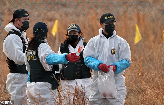 epa11796989 Members of Korea Crime Scene Investigation (KCSI) search around the wreckage of the Jeju Air aircraft at Muan International Airport in Muan, 288 kilometers southwest of Seoul, South Korea, 29 December 2024. According to the National Fire Agency, a passenger jet carrying 181 people erupted in flames after going off the runway at an airport in South Korea's southwestern county of Muan on 29 December, leaving at least 62 people dead.  EPA/HAN MYUNG-GU