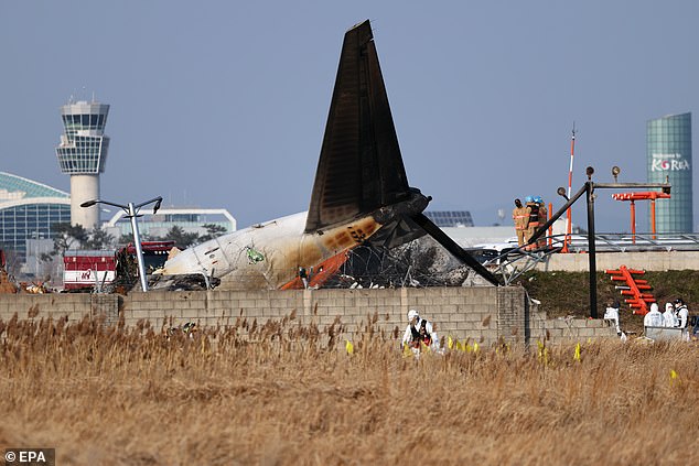 The wreckage of the Jeju Air aircraft is seen at Muan International Airport in Muan, South Korea, December 29 2024