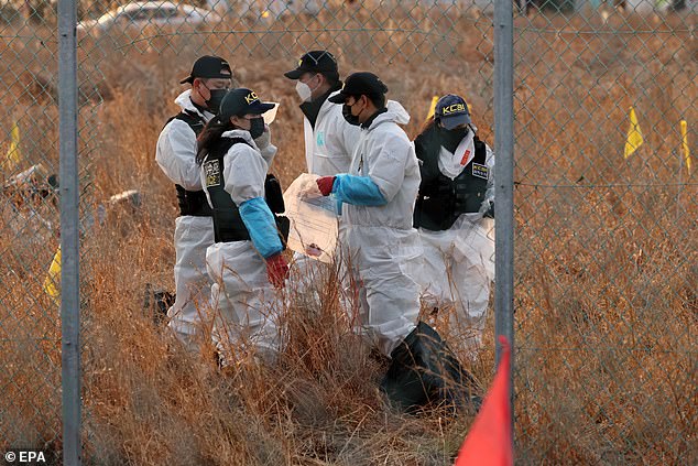 Members of Korea Crime Scene Investigation (KCSI) search around the wreckage of the Jeju Air aircraft at Muan International Airport in Muan