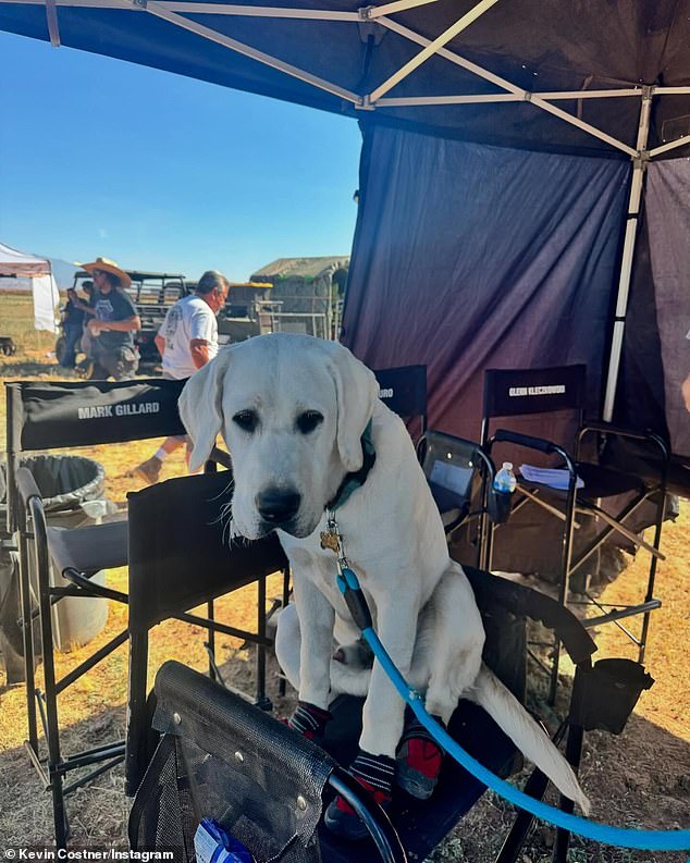 The Yellowstone alum is always supported on the set by his beloved one-year-old English Boxhead Lab, Bobby Costner (pictured June 2), whom he adopted Christmas last year