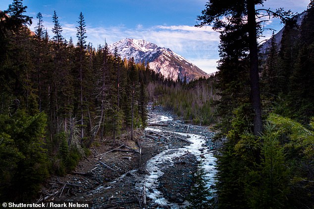 Gallatin County, Montana, has a whopping 26.8 percent of residents who drink to excess