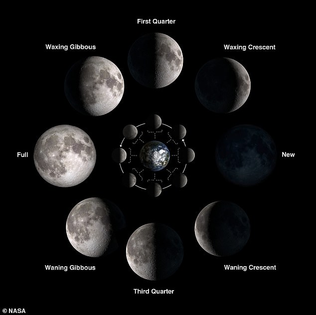 During the 29.5-day lunar cycle, we observe a new moon (with 0 per cent illumination), a waxing moon (when the amount of illumination on the moon is increasing), a full moon (100 per cent illumination) and then a waning moon (when its visible surface area is getting smaller)