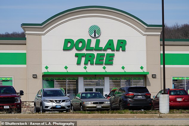 Dollar Tree is known for selling a wide variety of products resembling expensive items