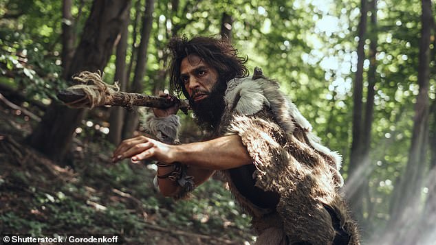 Above, a dramatized portrait of a primeval caveman wearing animal skin and hunting with a stone-tipped spear