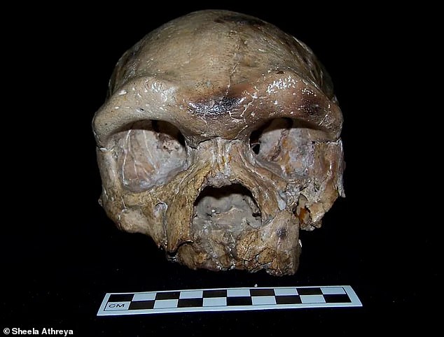 A 2017 analysis finds the Dali skull (pictured) shares many characteristics with modern humans - a find that supports Dr Huang's 'out of East Asia' hypothesis