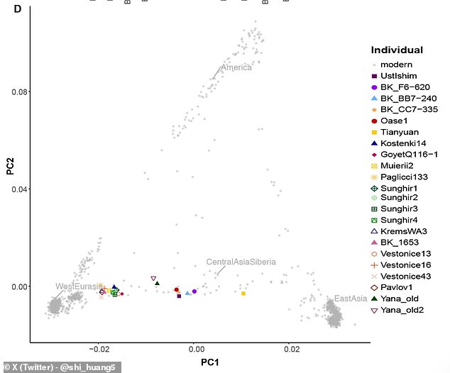 'Ancient DNA from the oldest modern humans found in Europe,' Dr Huang said this month, 'showed closer similarity to Asians rather than Africans.' Above, a map of genetic differences showing how close ancient Europeans and Asia DNA has proven to be (bottom region)