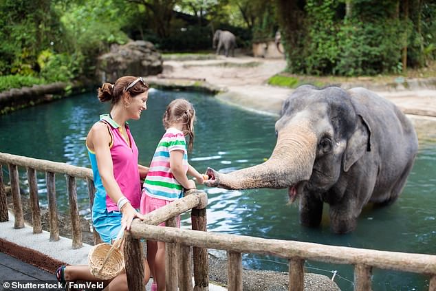 Mandai Wildlife Reserve in Singapore, pictured above, is opening its fifth zoological park, Rainforest Wild Asia. It will span 13 hectares and feature 10 different zones, as well as 29 different species of animal