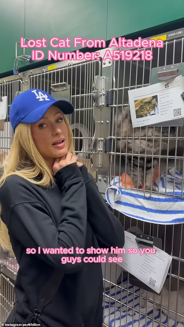 Paris Hilton has been praised by fans after she spent a day giving back to those afflicted by the LA fires