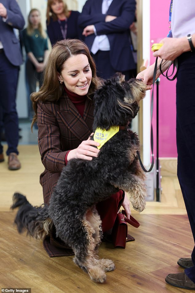 The Princess of Wales meets Scout the therapy dog at the Royal Marsden Hospital this morning