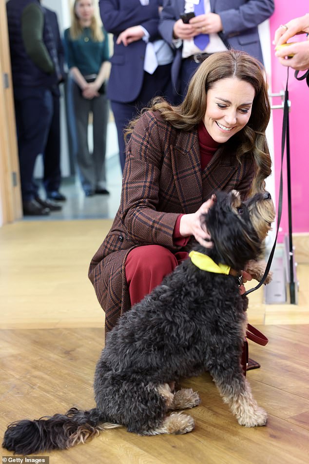 The Princess of Wales meets Scout the therapy dog at the Royal Marsden Hospital this morning