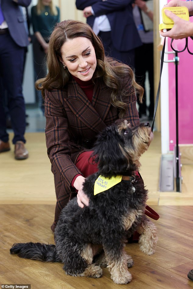 The Princess of Wales meets Scout the therapy dog at the Royal Marsden Hospital this morning