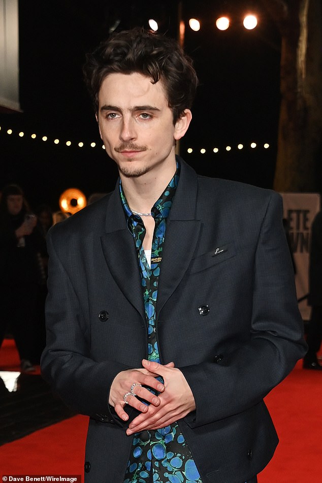 The movie focuses on Dylan's early career, his transition from folk to rock, and his performance at the 1965 Newport Folk Festival, with Timothée being praised for his portrayal