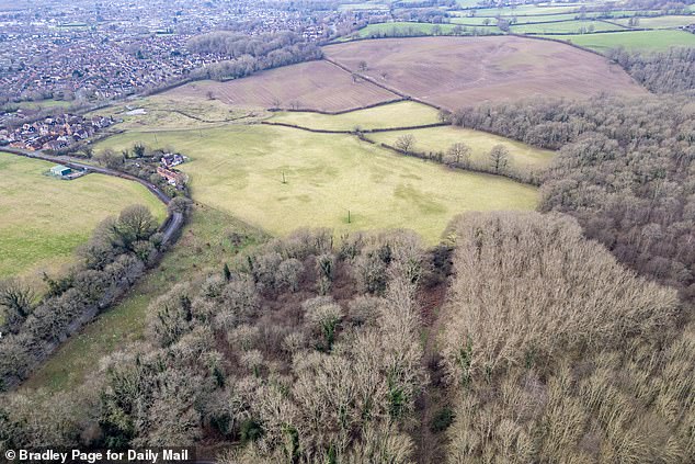 Deputy Prime Minister and Housing Minister Angela Rayner hopes to build 1.5 million homes across Britain